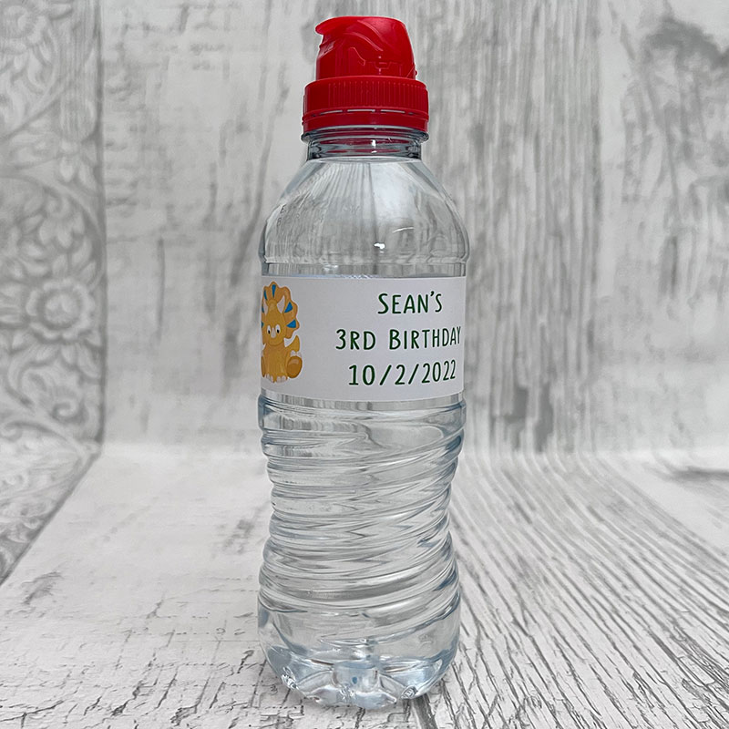 Personalised Child Dinosaur Theme Bottle Wrappers