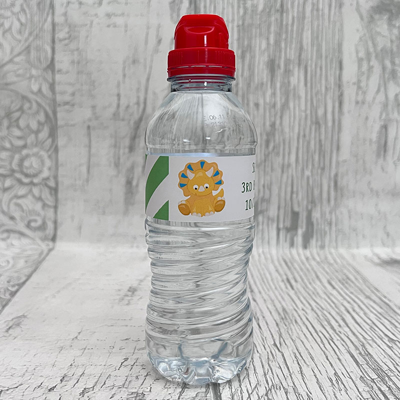 Personalised Child Dinosaur Theme Bottle Wrappers - Image 2