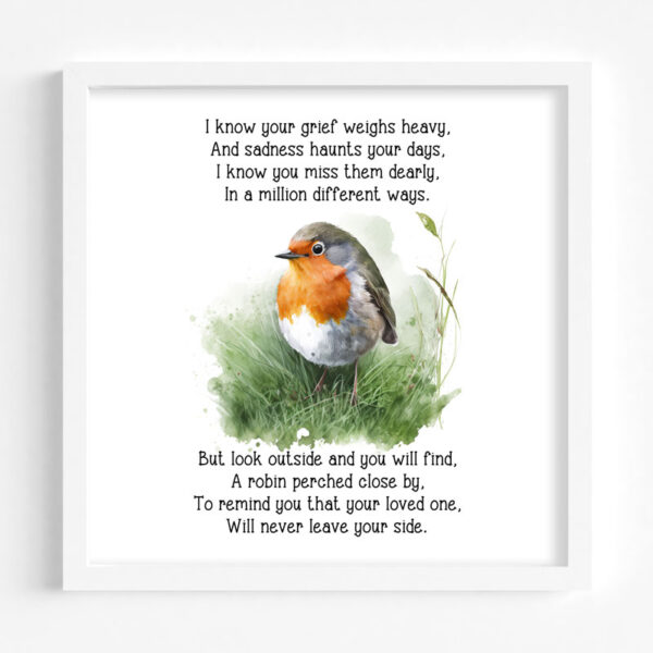 Remember Me Robin Printed Frame Design 3