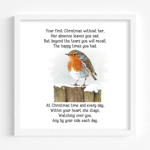 Remember Me Robin Printed Frame Design 5