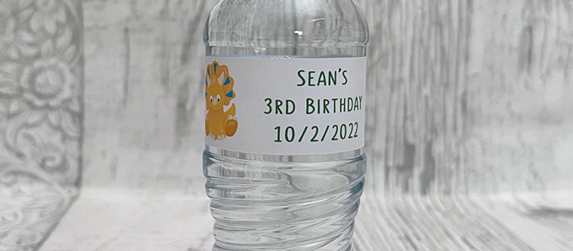 BirthdayChildDinosaurWaterBottle